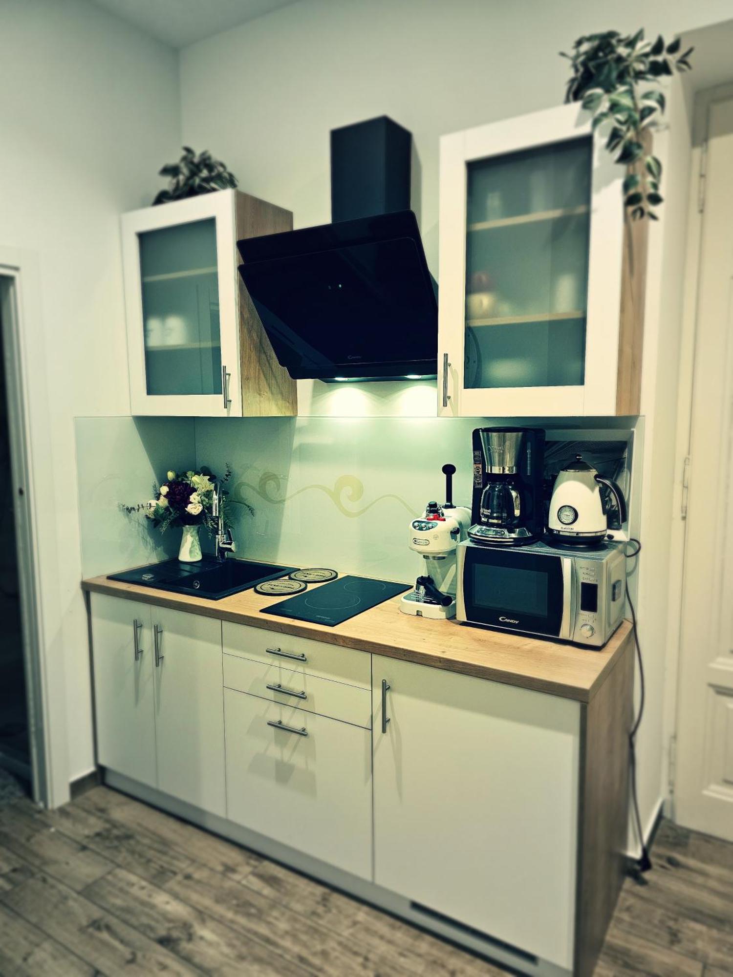 Studio Apartman Villa Gianna Lovran Exteriér fotografie