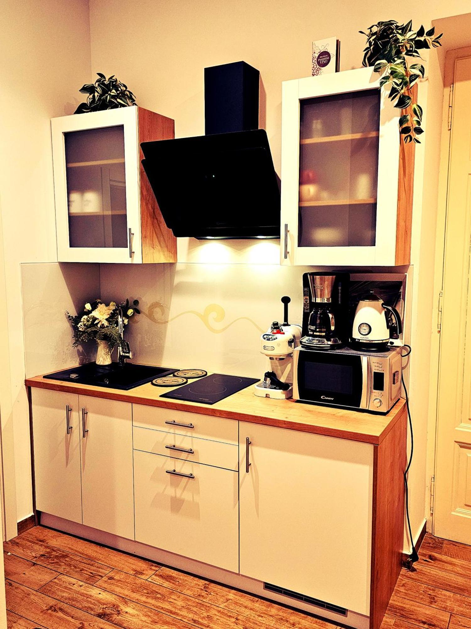Studio Apartman Villa Gianna Lovran Exteriér fotografie