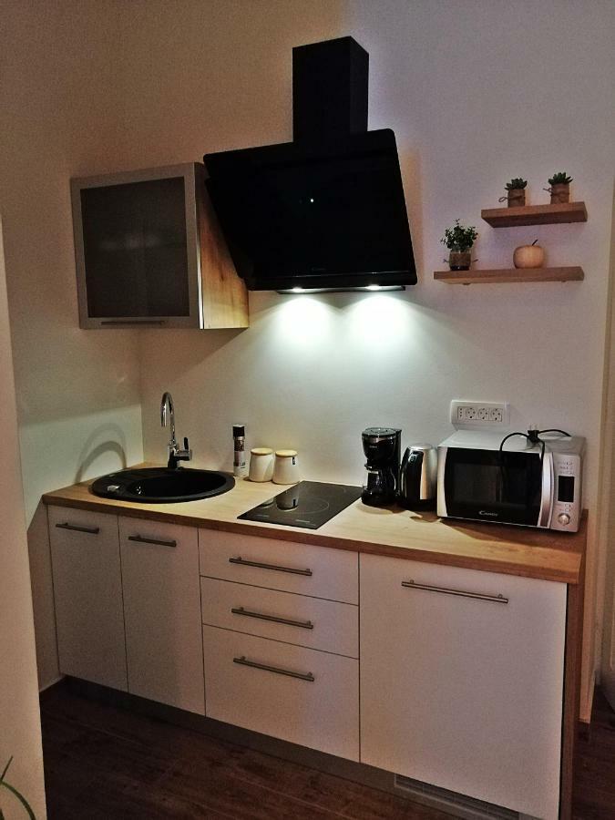 Studio Apartman Villa Gianna Lovran Exteriér fotografie