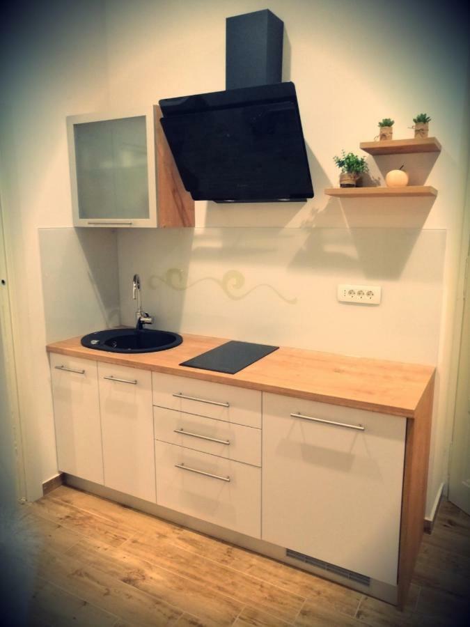 Studio Apartman Villa Gianna Lovran Exteriér fotografie
